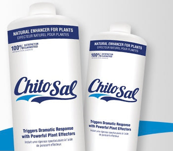 Chito-Sal